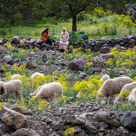 Toubkal Ecolodge Imlil  Dış mekan fotoğraf