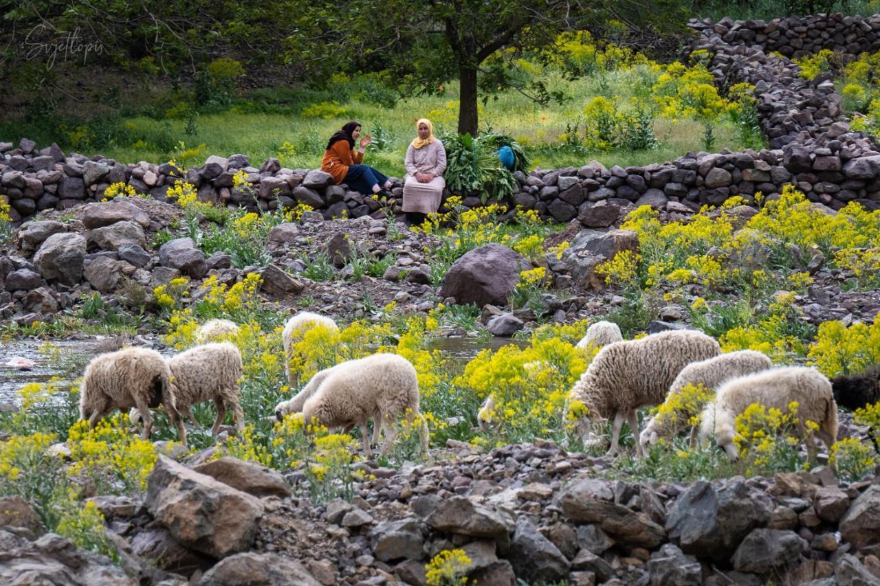 Toubkal Ecolodge Imlil  Dış mekan fotoğraf